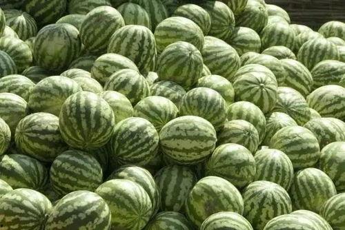 临沧网红吃瓜事件真相是真的吗,真相揭秘，还原事件始末  第3张