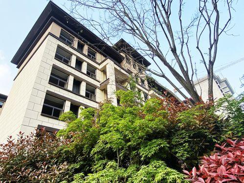 舞阳建业城爆料视频,品质生活新篇章