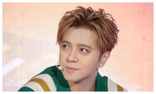 罗志祥和娱乐圈内爆料,揭秘明星背后的真相与争议